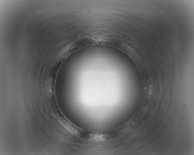 X0000080670710200612221117