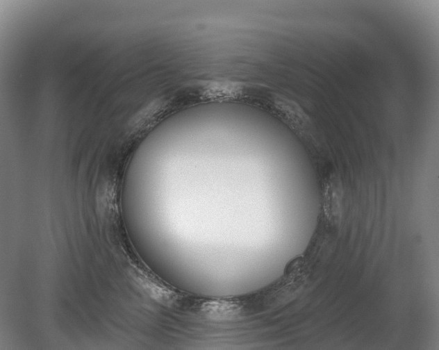 X0000080670714200612221117