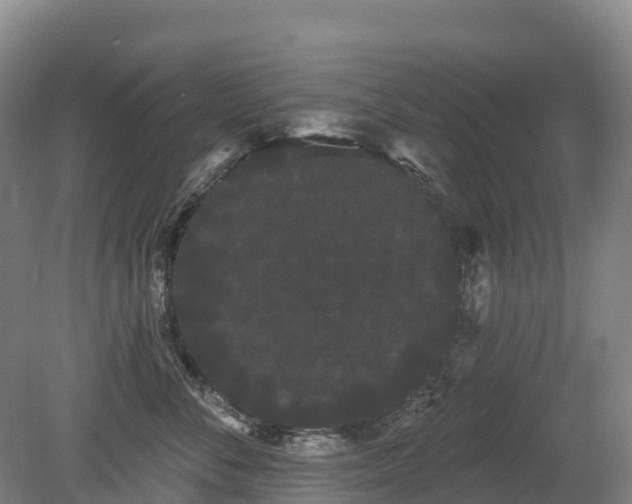 X0000080670716200612221117