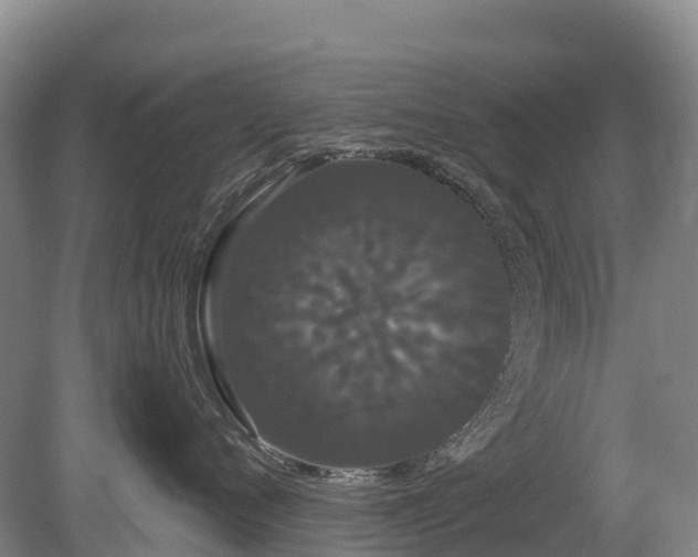 X0000080670720200612221117