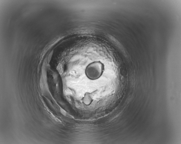 X0000080670721200612221116