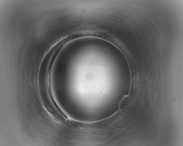 X0000080670722200612221116