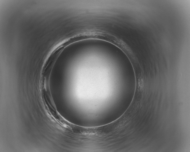 X0000080670724200612221116