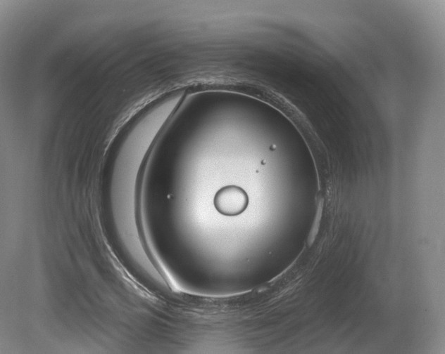 X0000080670725200612221116