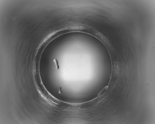 X0000080670726200612221116