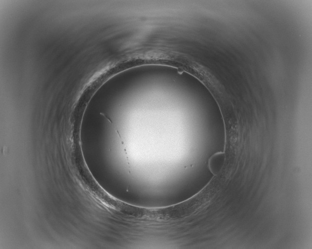 X0000080670727200612221116