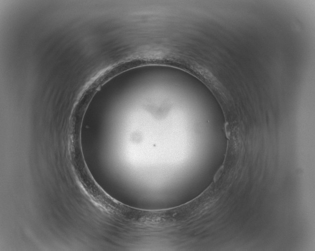 X0000080670728200612221116