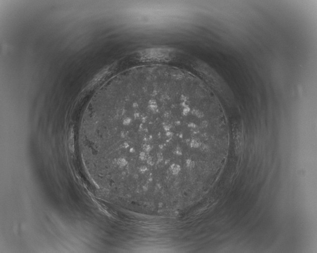 X0000080670729200612221116