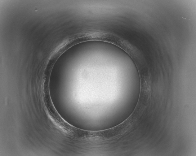 X0000080670730200612221116