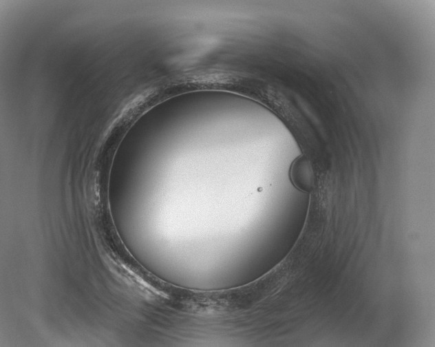 X0000080670731200612221116