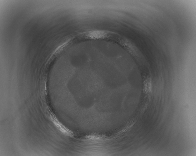 X0000080670733200612221116