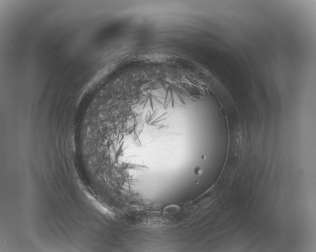 X0000080670734200612221116