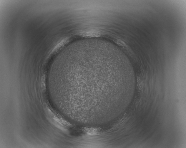 X0000080670735200612221116