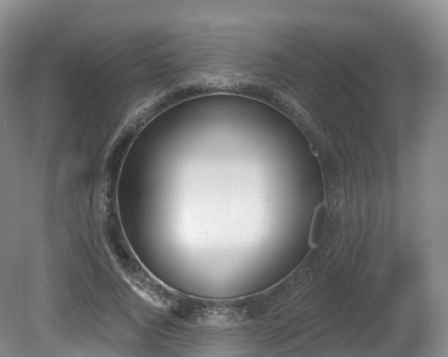 X0000080670736200612221116