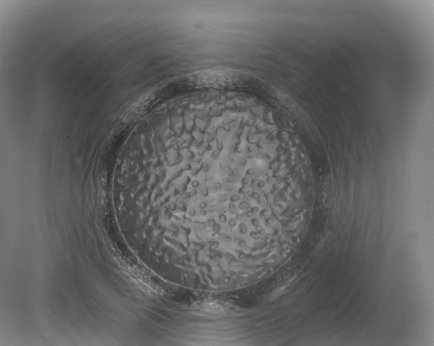 X0000080670737200612221116