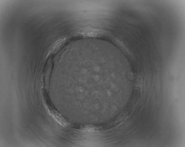 X0000080670738200612221116