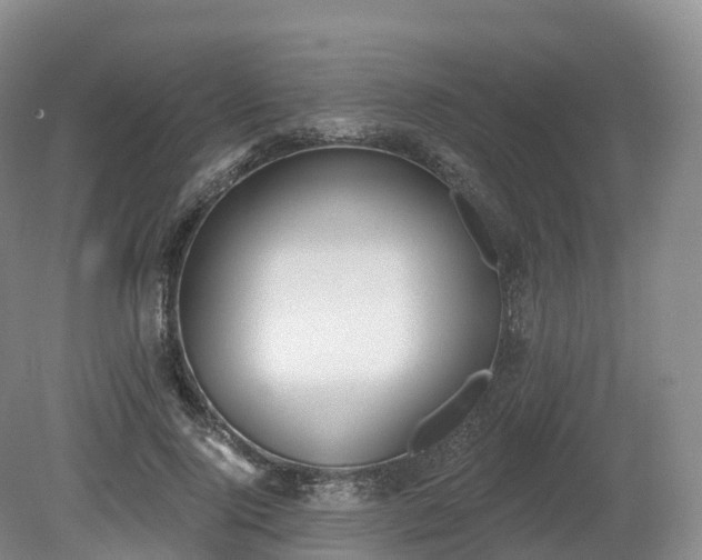 X0000080670740200612221116