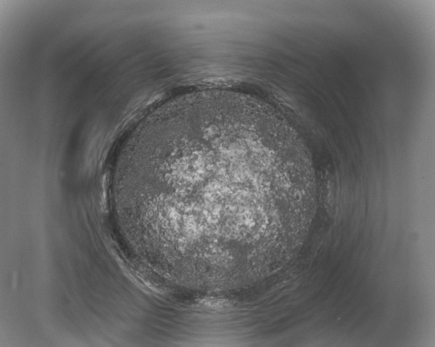 X0000080670742200612221116