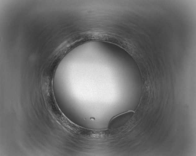 X0000080670744200612221116