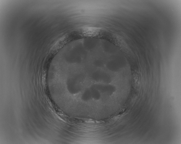 X0000080670745200612221116