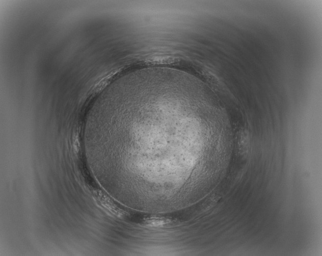 X0000080670746200612221116