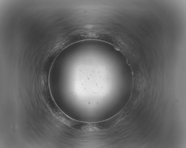 X0000080670747200612221116