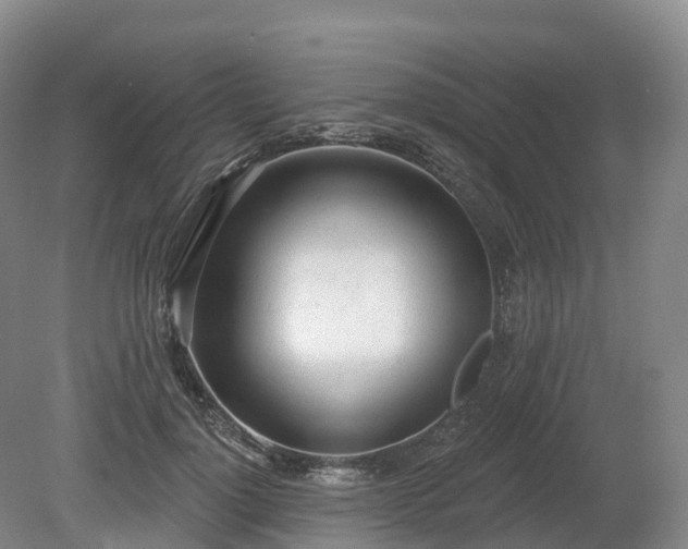 X0000080670748200612221116