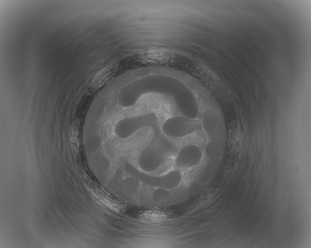 X0000080670749200612221116