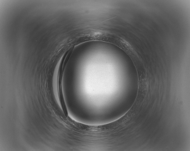 X0000080670750200612221116