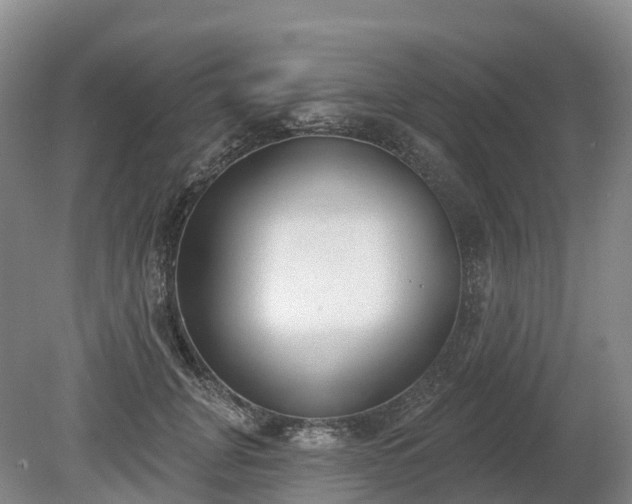 X0000080670751200612221116