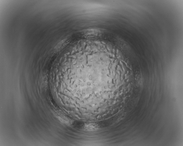 X0000080670753200612221116