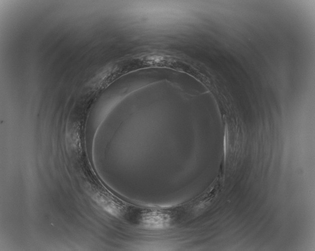 X0000080670754200612221116