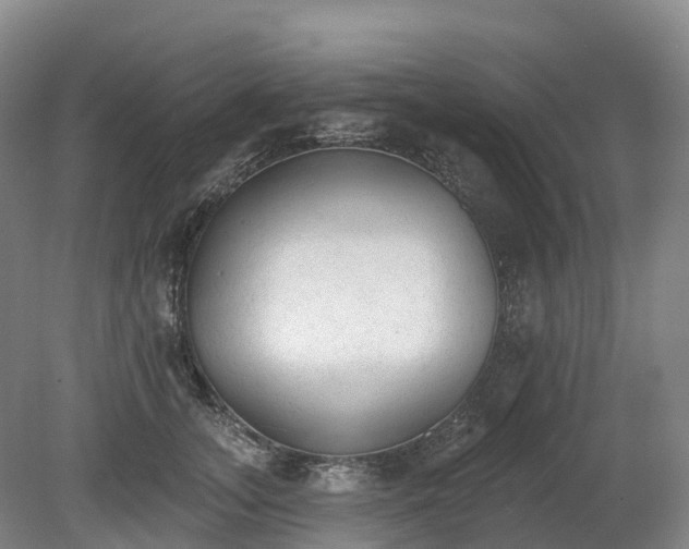 X0000080670755200612221116