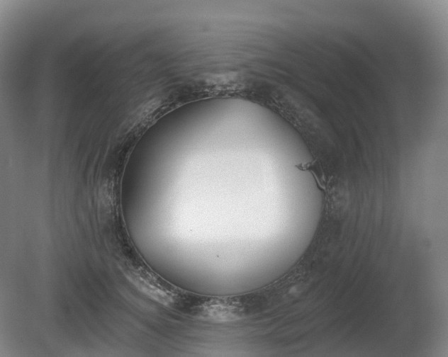 X0000080670756200612221116