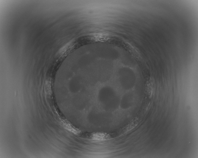 X0000080670757200612221116