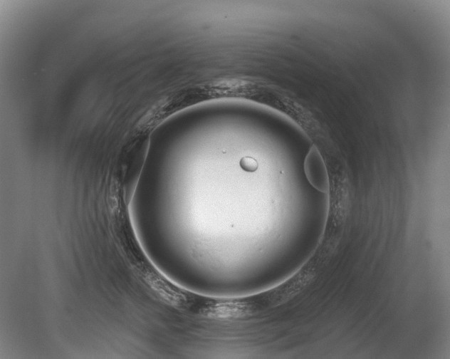 X0000080670758200612221116