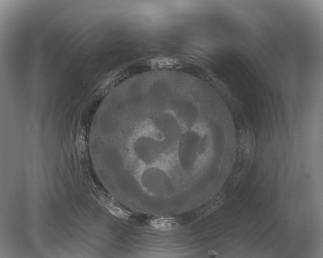 X0000080670761200612221116