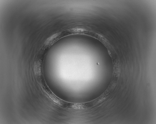 X0000080670762200612221116