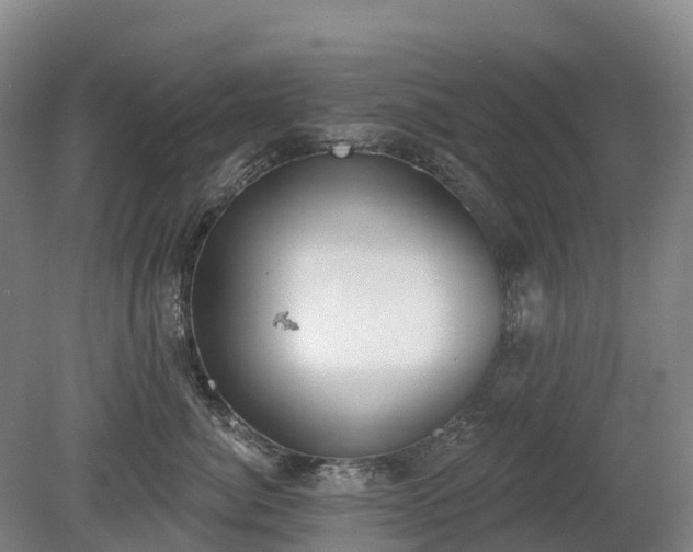 X0000080670764200612221116