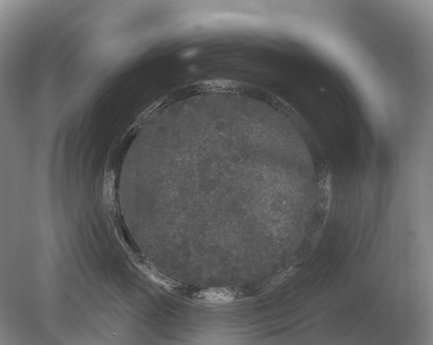 X0000080670765200612221117