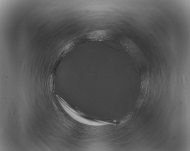 X0000080670767200612221117