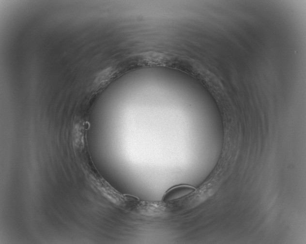 X0000080670768200612221117