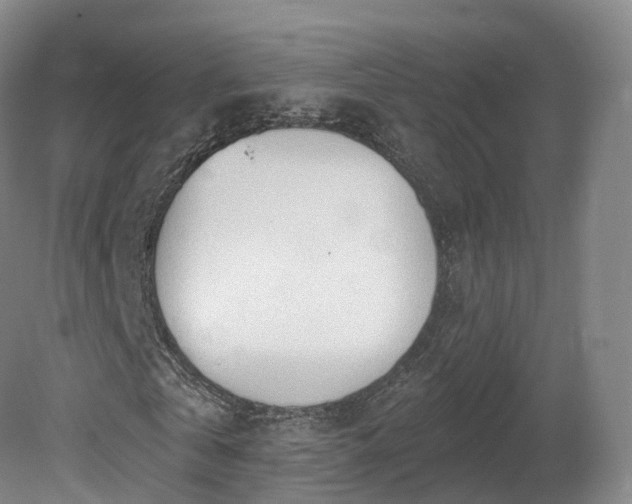 X0000080670769200612221116