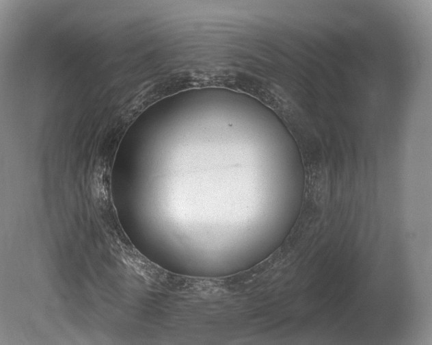 X0000080670770200612221116