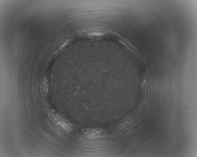 X0000080670772200612221116