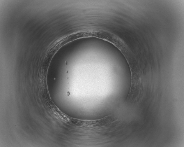 X0000080670773200612221116