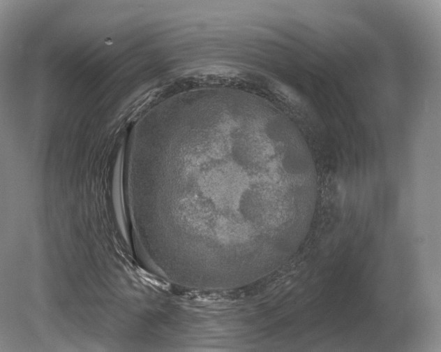 X0000080670774200612221116