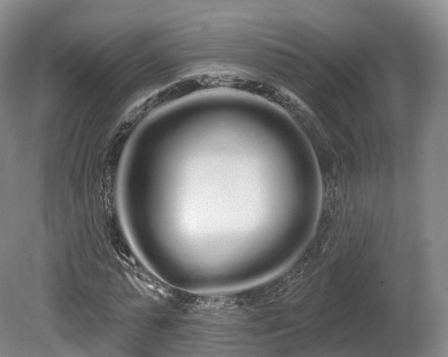 X0000080670775200612221116