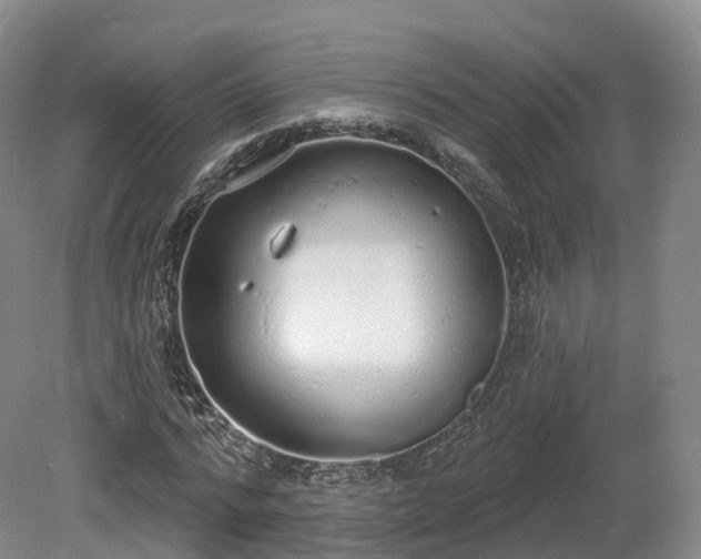 X0000080670776200612221116