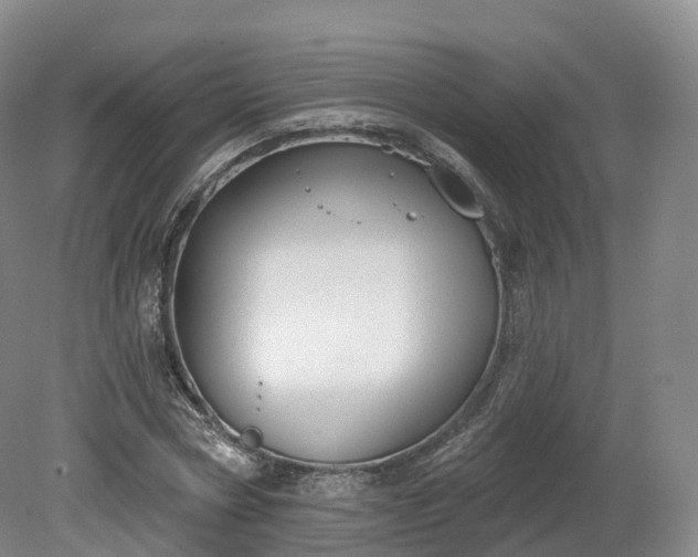 X0000080670778200612221116